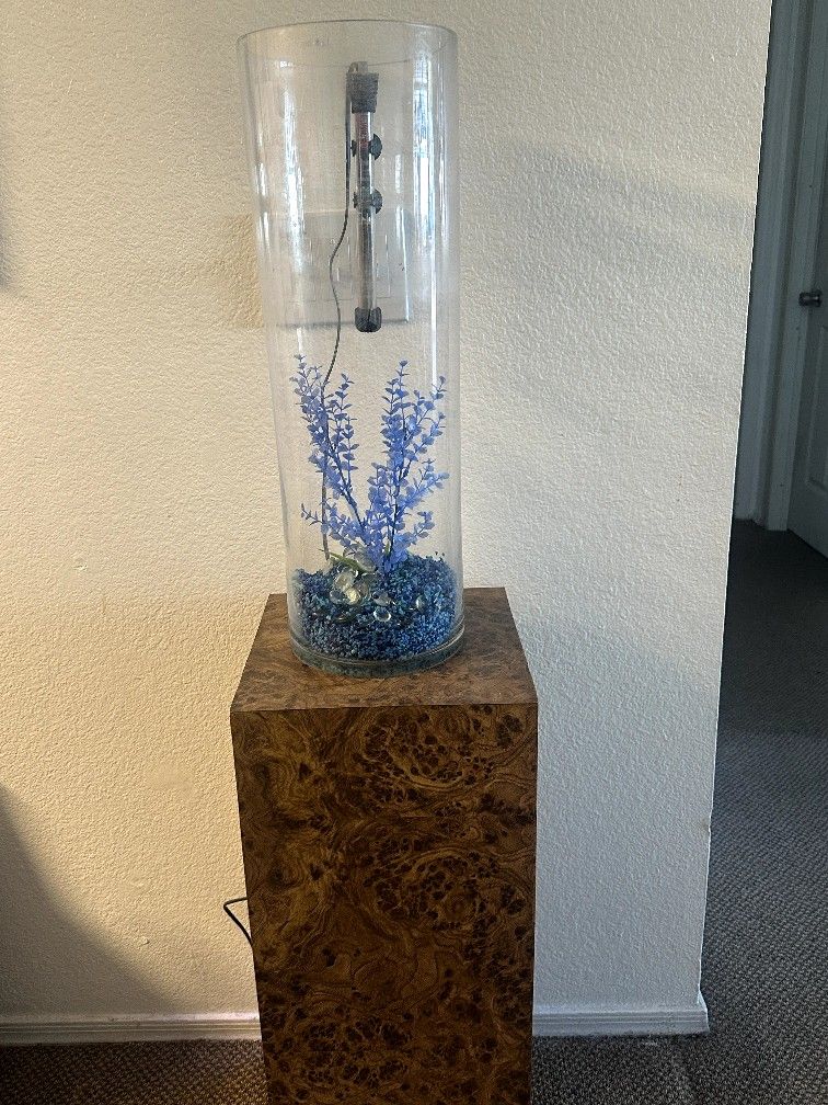 TALL FISH TANK! W/ STAND **NEED GONE**