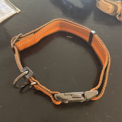 Dog Collar 