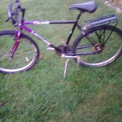   Bike Mountain Bike 45.00