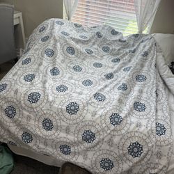 Shower Curtain