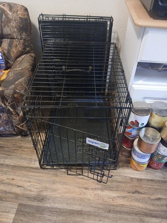 Dog Create kennel