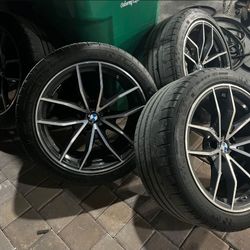 Bmw  Rin 2022  kidney