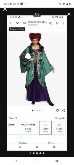 Winifred Sanderson Witch Halloween Costume
