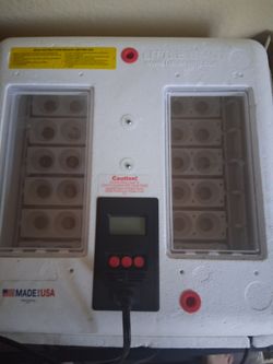 Lil giant incubator