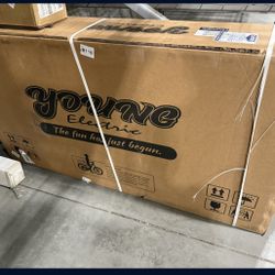 Young Electric 27.5-in Adult unisex E-bike