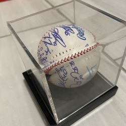 Tampa Bay Rays signed team ball
