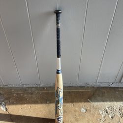 SOFTBALL BAT