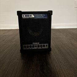 Roland Cube Amplifier Speaker Monitor 