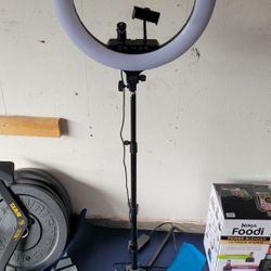 Light Stand