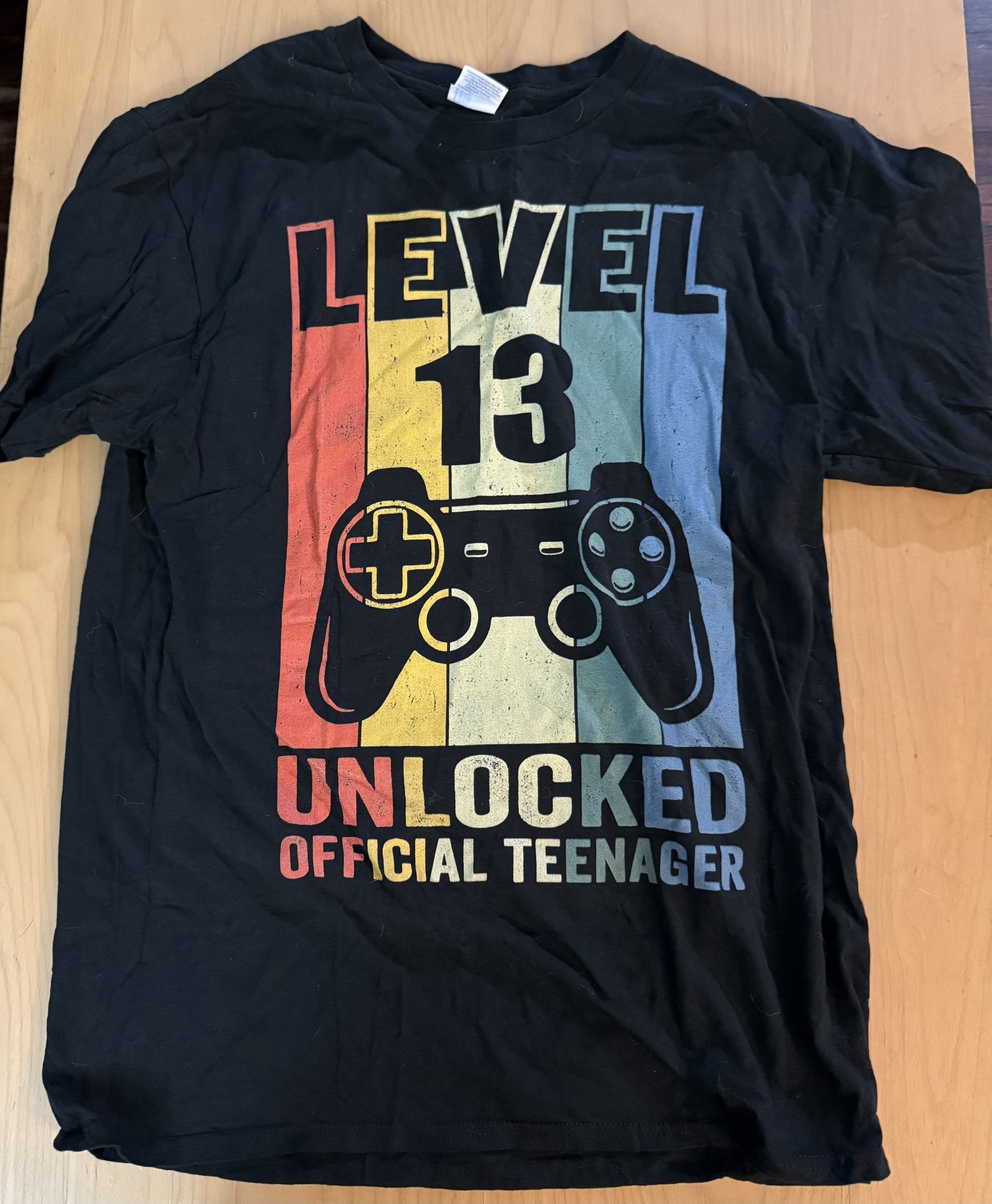 Teenager 13th Birthday T-shirt Adult Med 