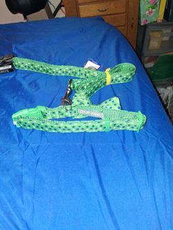 Dog leash and collar