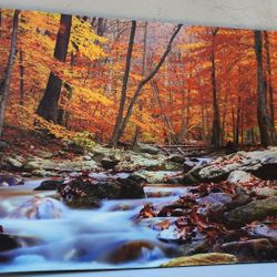 Autumn/Nature Stream Canvas Wall Art