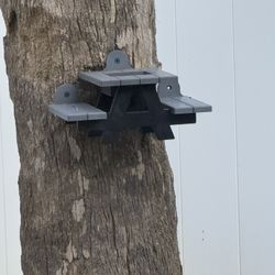 Bird / Squirrel Feeder