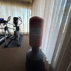 Everlast punching bag