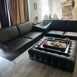 Zuri Brand Sofa 