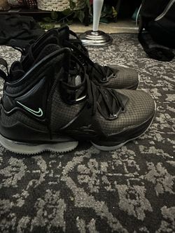 lebron 19