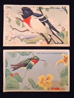 Vintage 1940s Loma Linda Food Co. Cereal Box Insert Bird Cards - Lot of 2