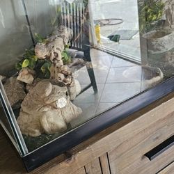 Reptile Tank