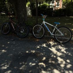 2020 SE BIG RIPPER (TRADES)