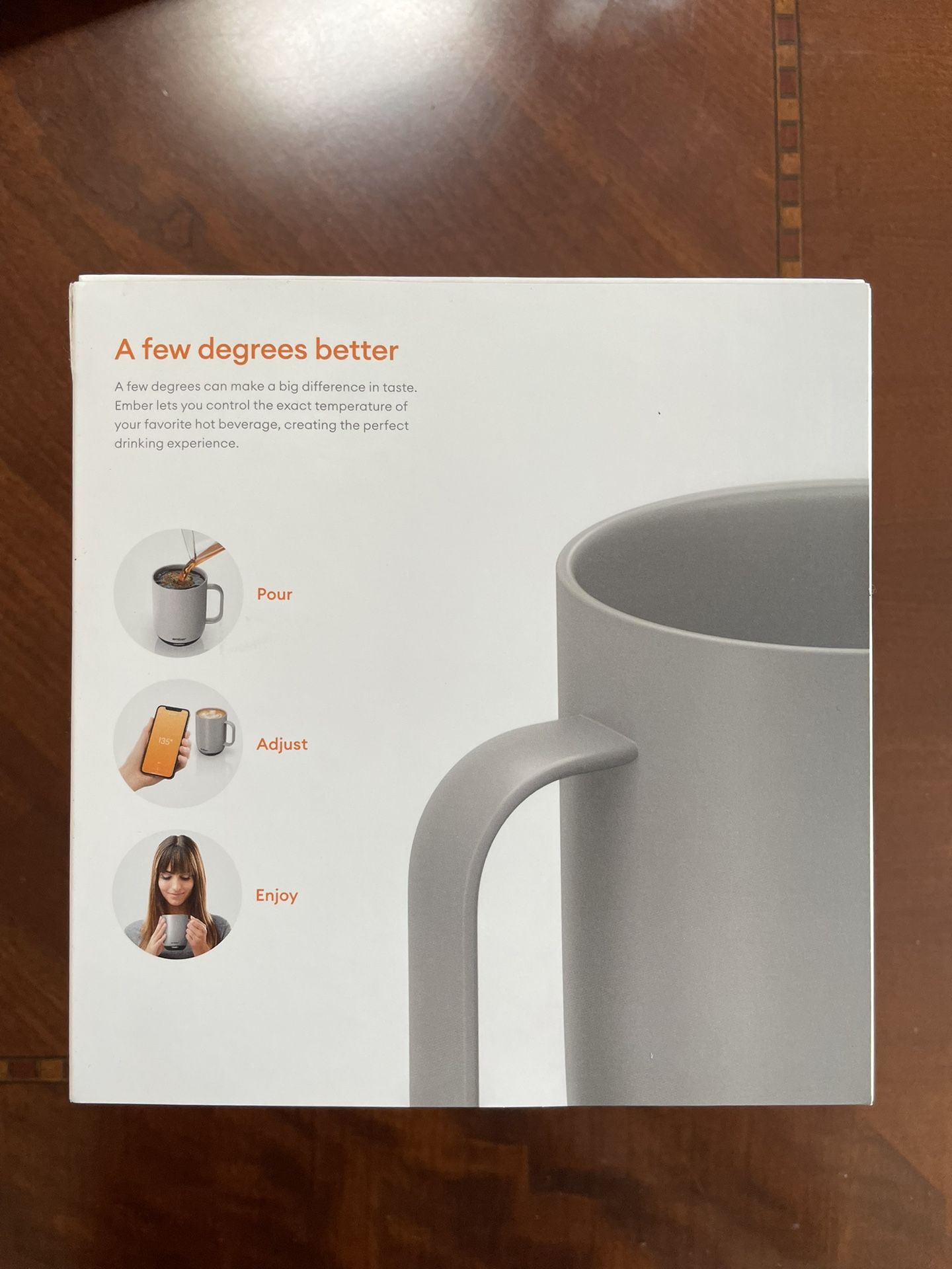 Temperature control mug 