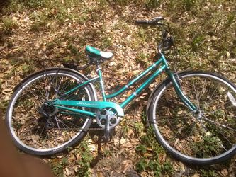 700c Schwinn gateway hybrid