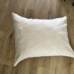 Ivory dog Pillow 