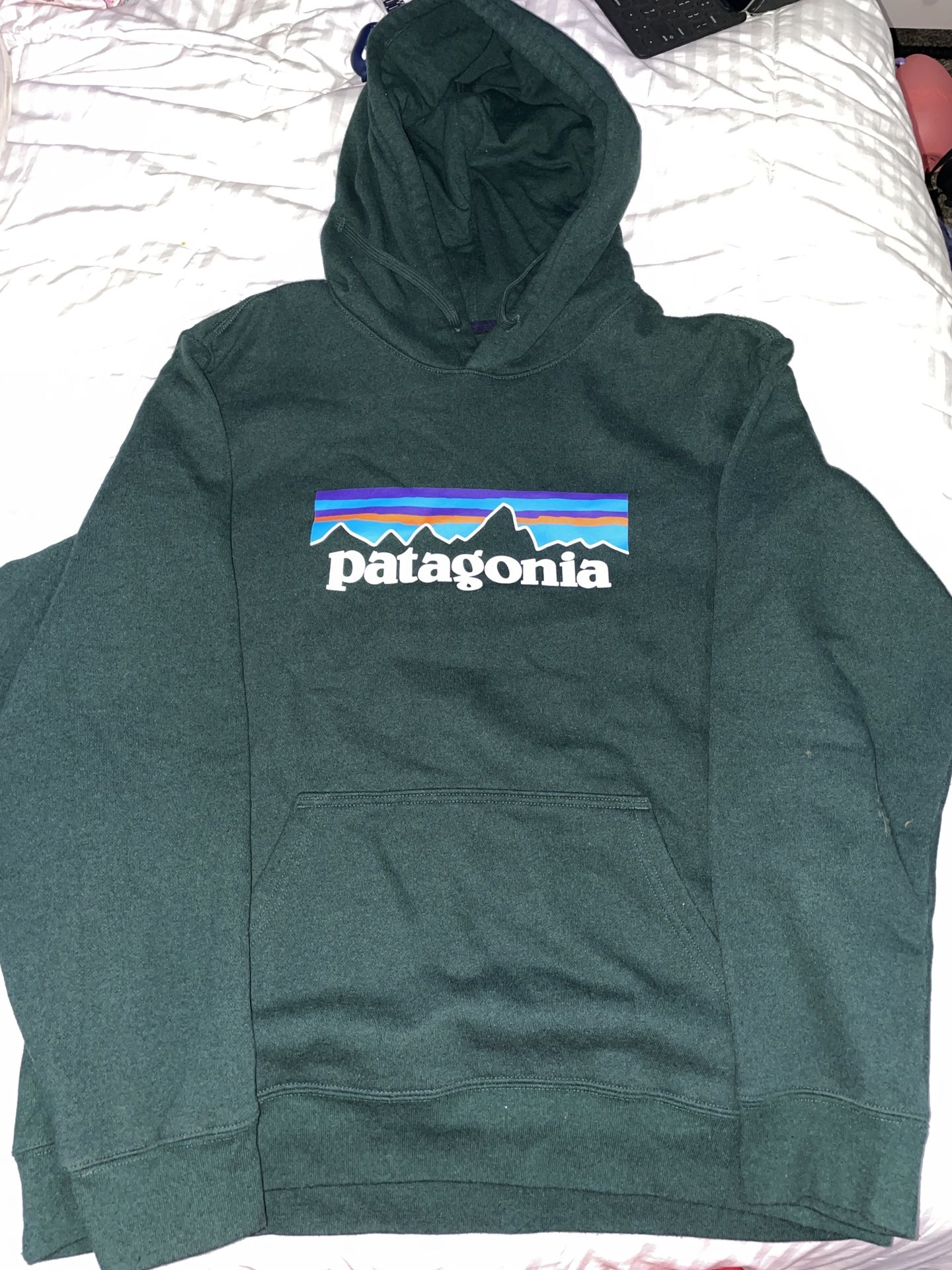 Patagonia Hoodie