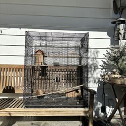 Bird Cage