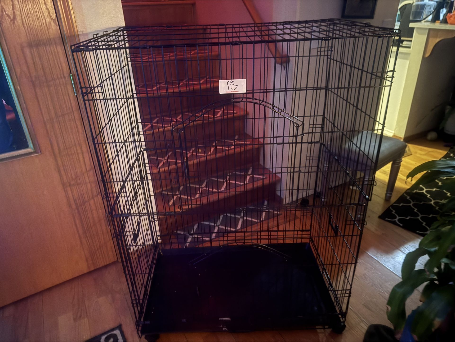 Rolling Collapsable Cat Condo.