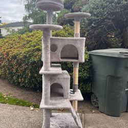 cat climbing tower