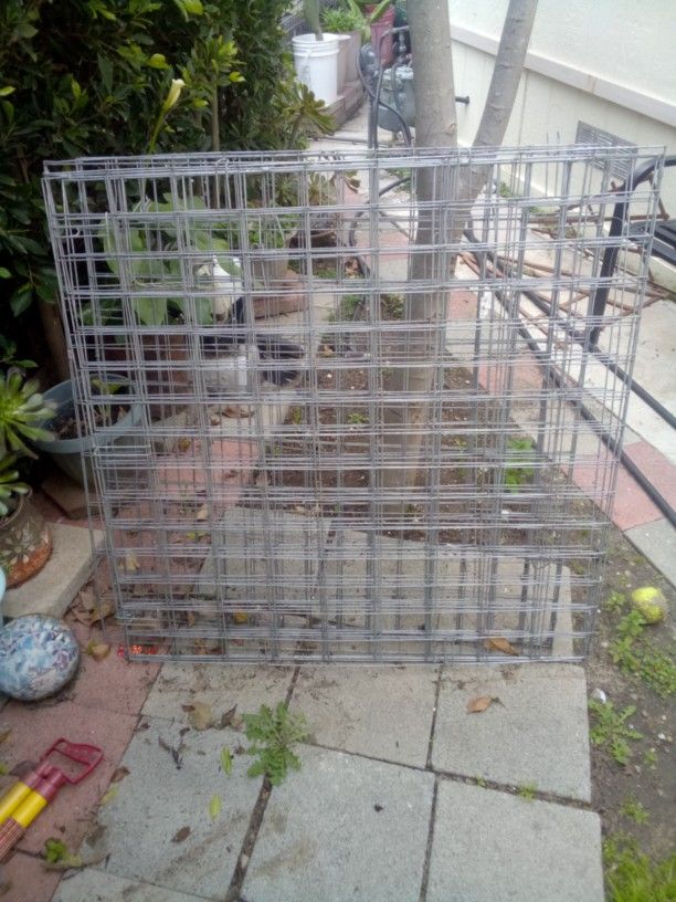 Chicken Cages