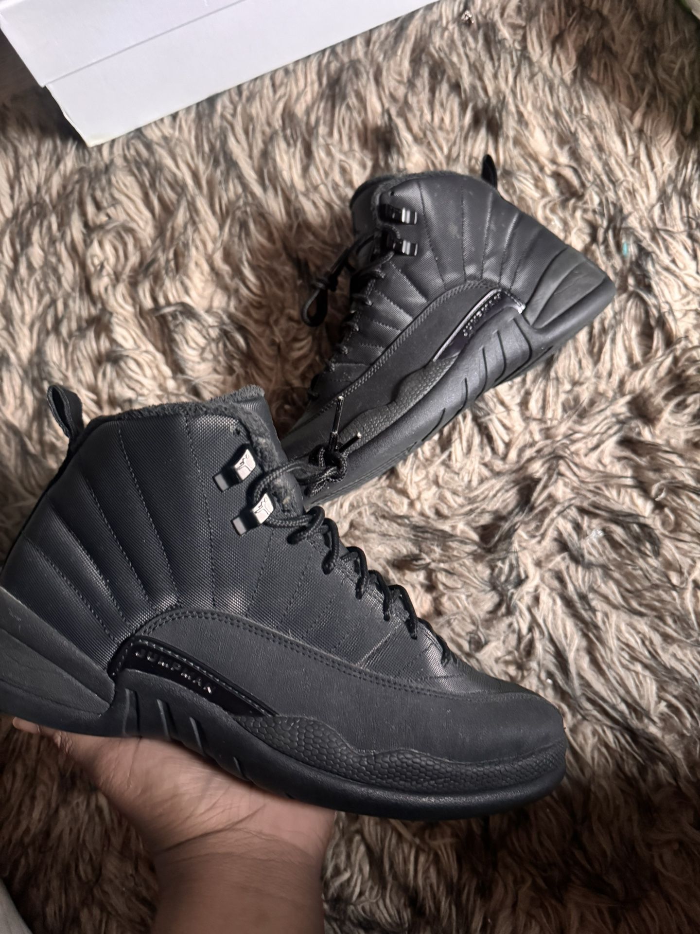 Air Jordan 12 Winter Black