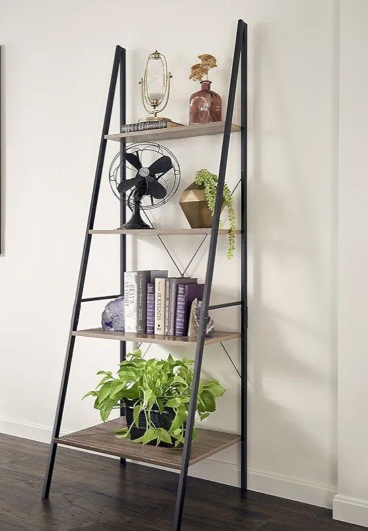 Ladder Plant Display, Bookcase Shelf