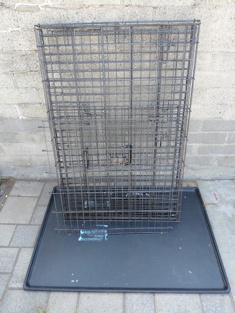 Dog Kennel