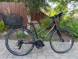 Giant Liv Bike w/ Rear Basket