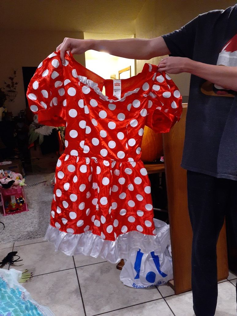 Adult Disney Minnie Mouse costume