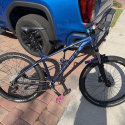 Trek Roscoe Mountain Bike Large