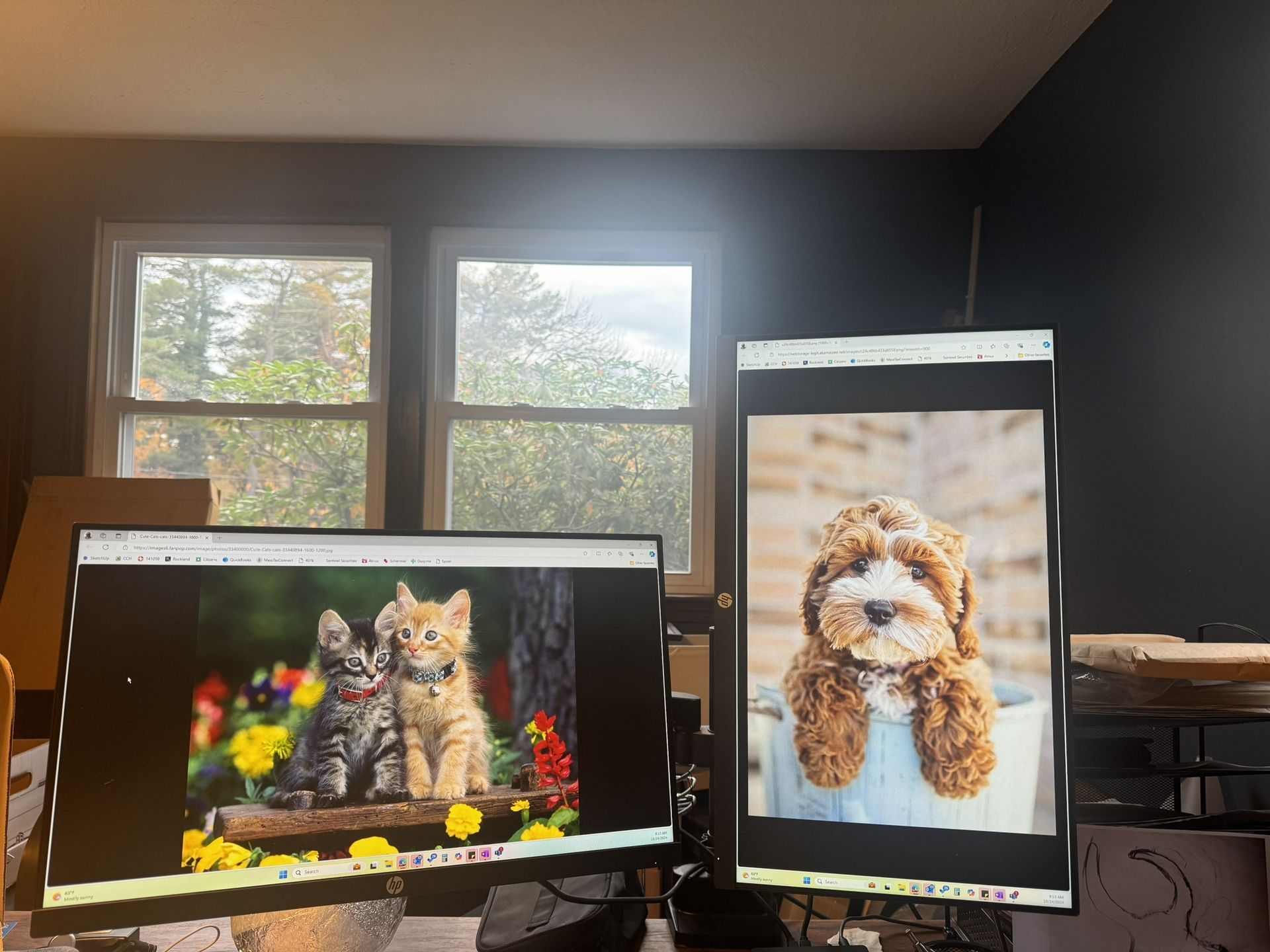 Dual 21.5” HP Monitors with Stand