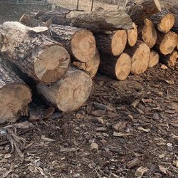 Firewood for sale DELIVERED $50