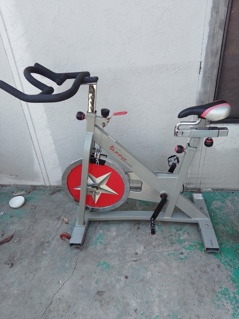 Sunny Indoor Exercise Bike