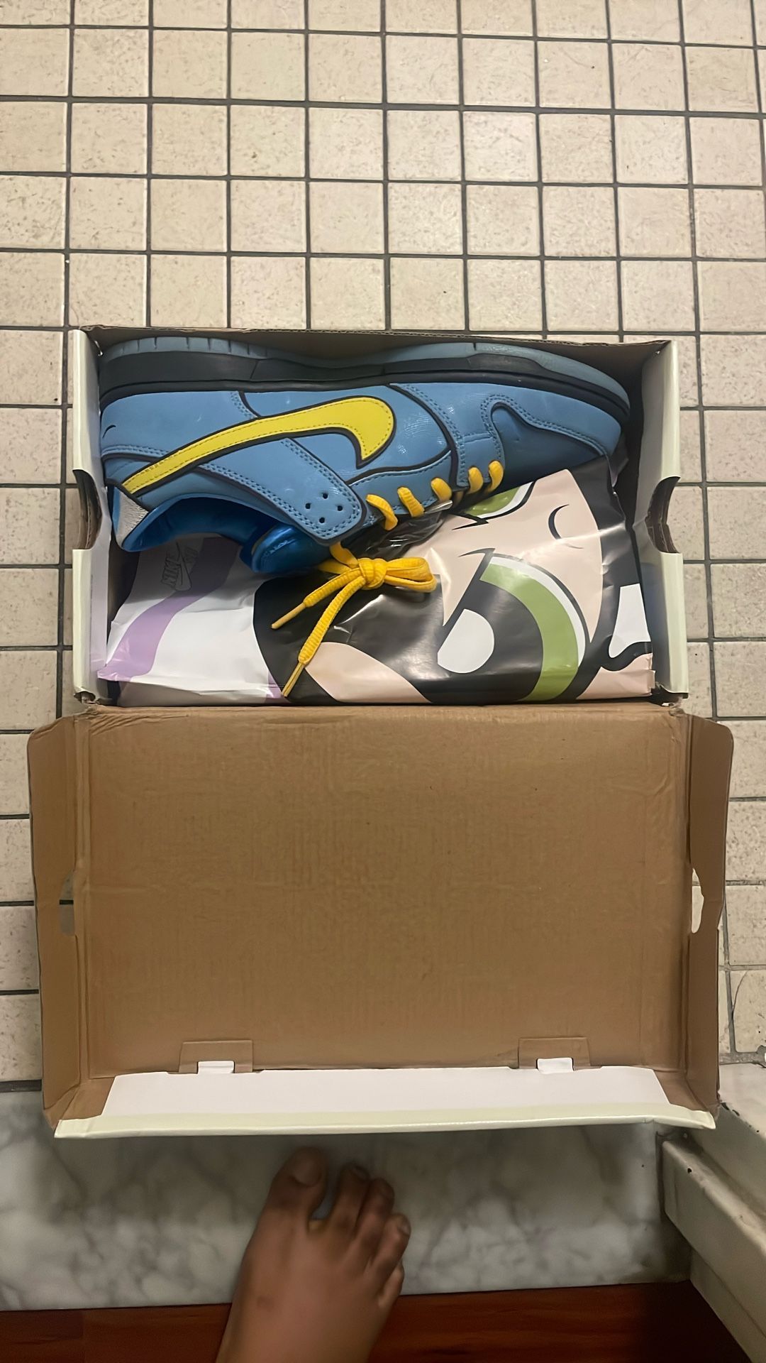 Nike SB Dunk Low The Powerpuff Girls Bubbles