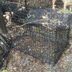 Medium And Large Kennel