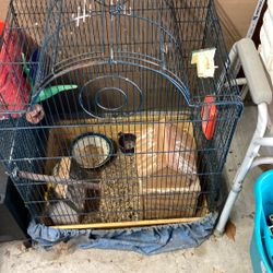 Birdcage 4 feet