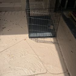 Big Used  Dog Cage