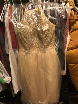 Quince Dama dress Brand New never worn champagne gold xs