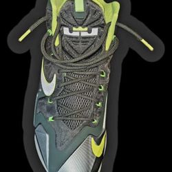 Lebron James Basketball Shoes 