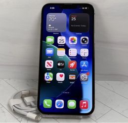 Apple iPhone 13 Pro Max Graphite Unlocked