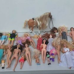 Lots of dolls and My Little Ponies 