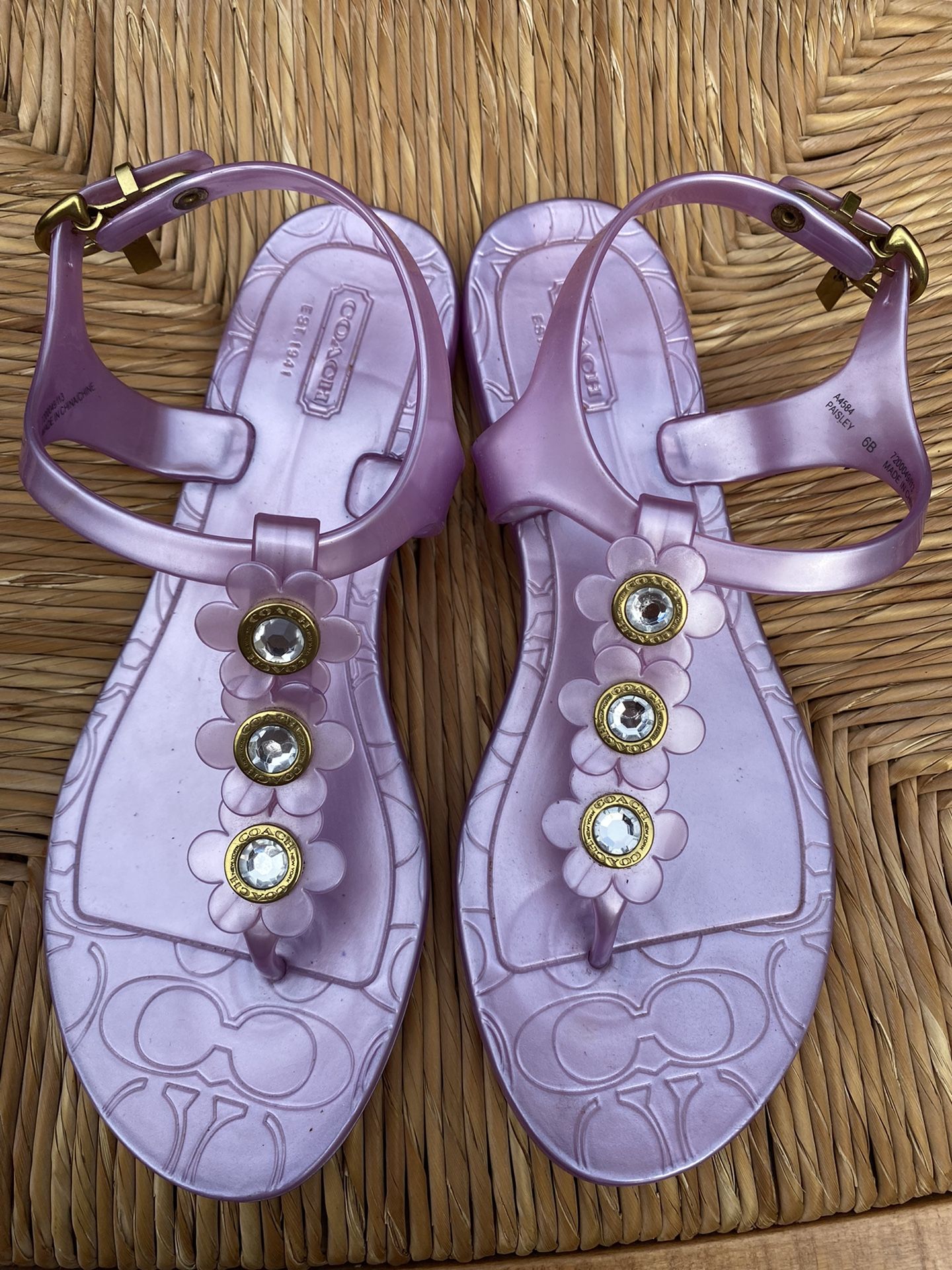 Michael Kors Womens Size 6 Thong Jelly Sandals