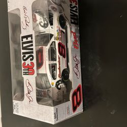 Dale EARNHARDT. JRS ELVIS. BUD  CAR  1:24 Scale 